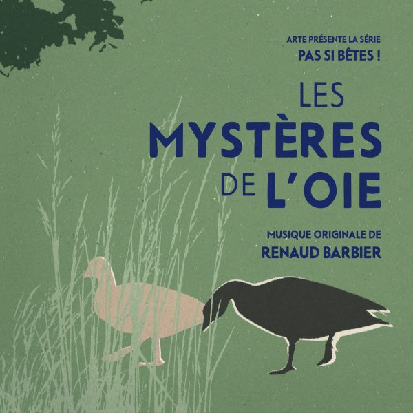 BOriginal - Pas si bêtes - Les mystères de l'oie